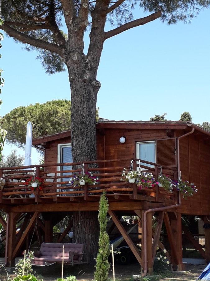Il Vivaio Villa Tarquinia Bagian luar foto