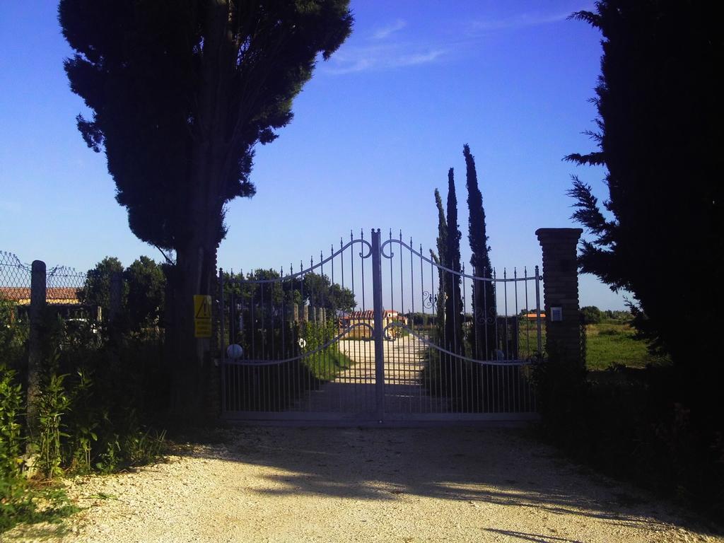 Il Vivaio Villa Tarquinia Ruang foto