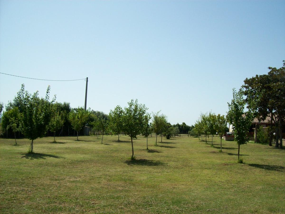 Il Vivaio Villa Tarquinia Bagian luar foto
